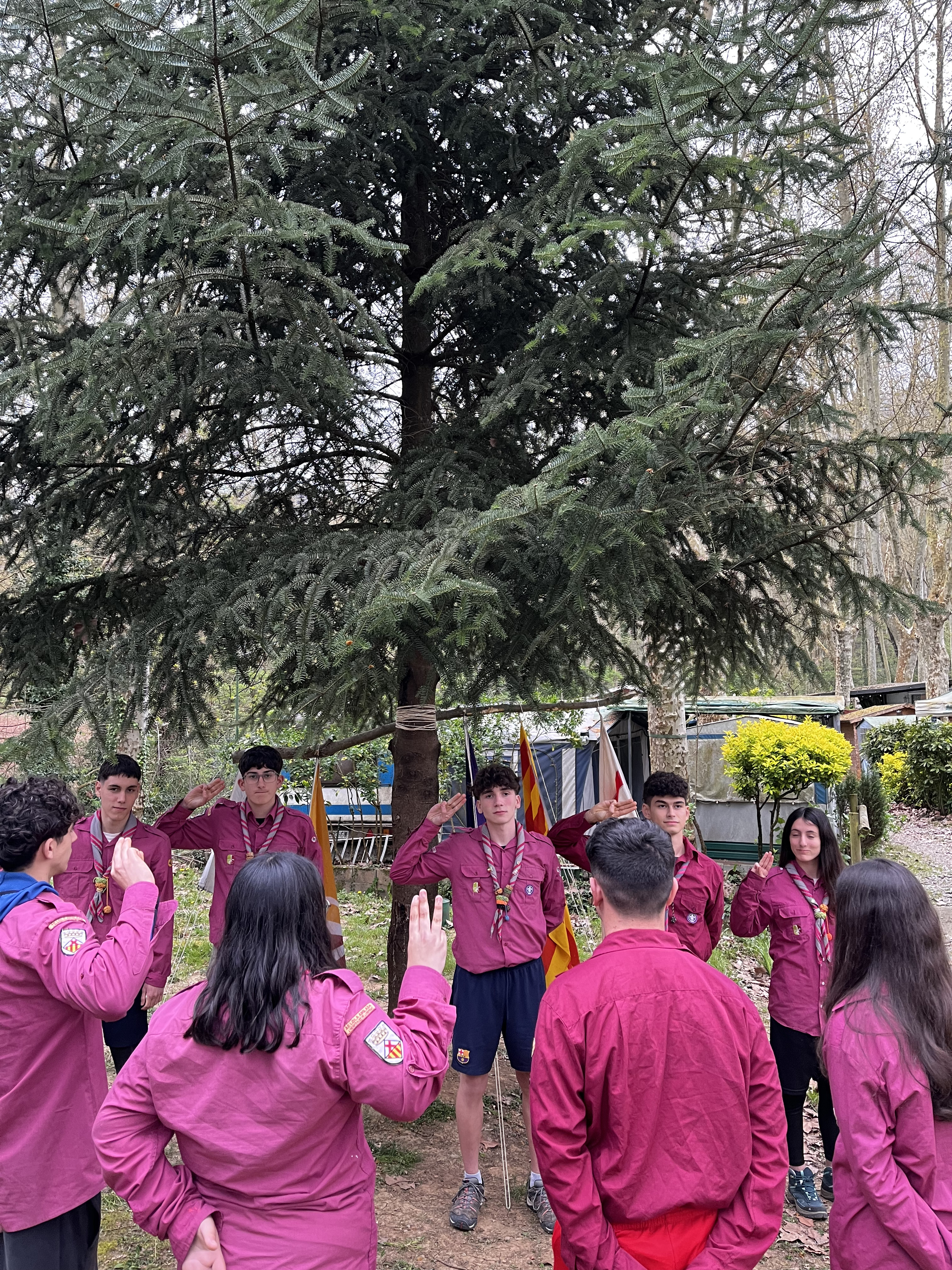 Voluntariat i servei